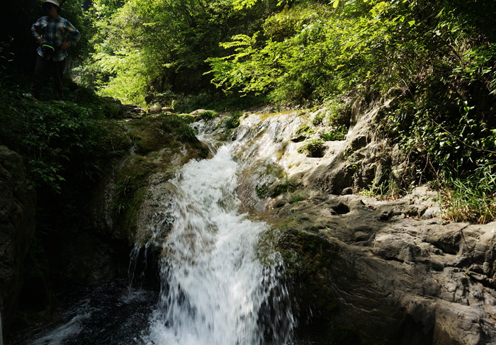 dsc01937_.jpg