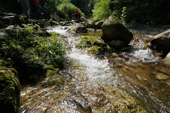 dsc01948_.jpg