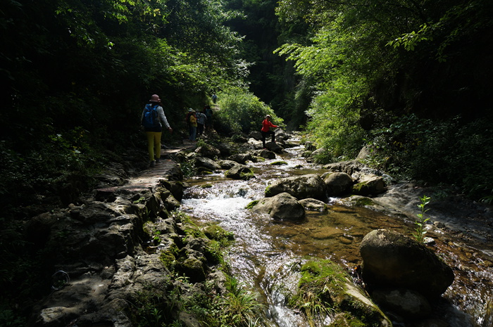 dsc01949_.jpg