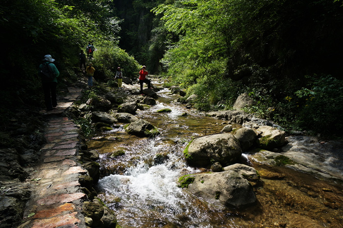 dsc01950_.jpg