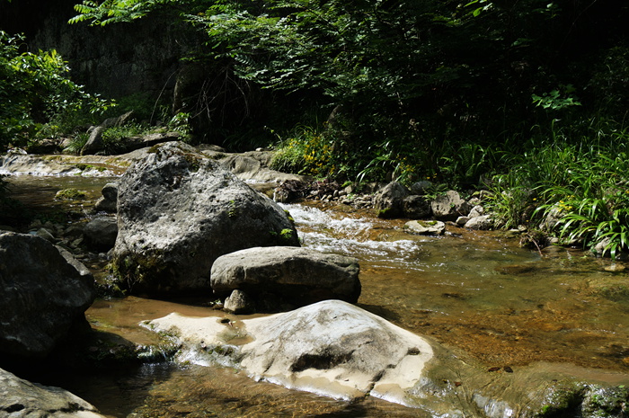 dsc01952_.jpg