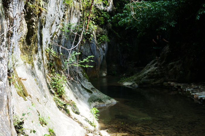 dsc01956_.jpg