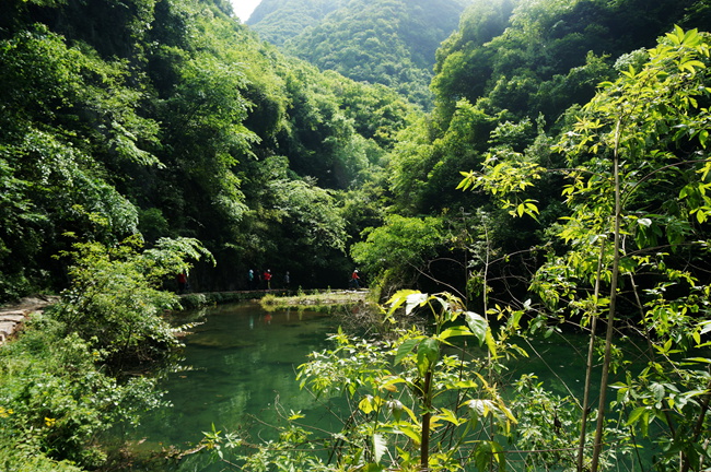 dsc01929_.jpg