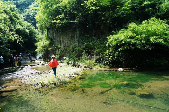 dsc01931_.jpg