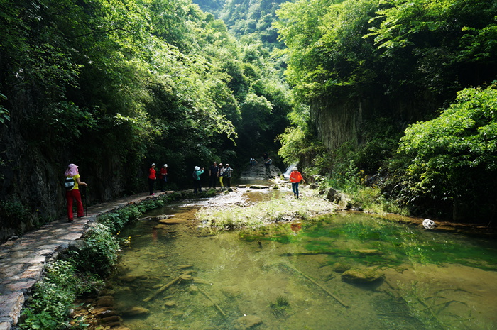 dsc01930_.jpg