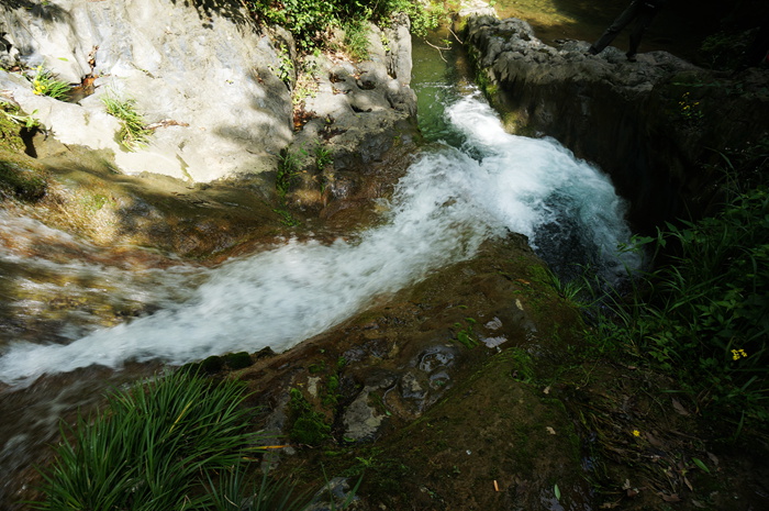 dsc01944_.jpg