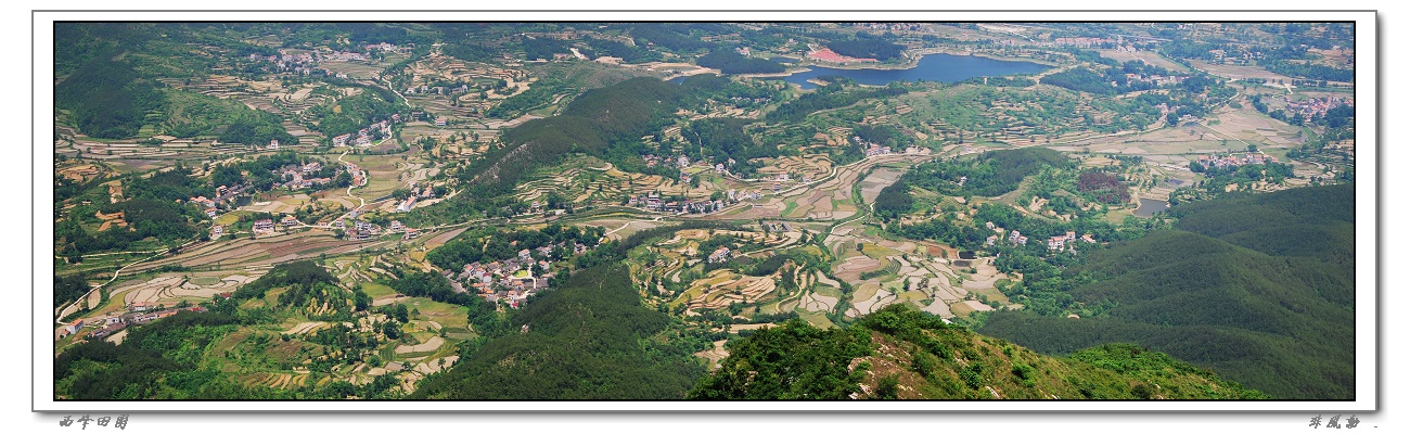 dsc_4891 pan_neo_img.jpg