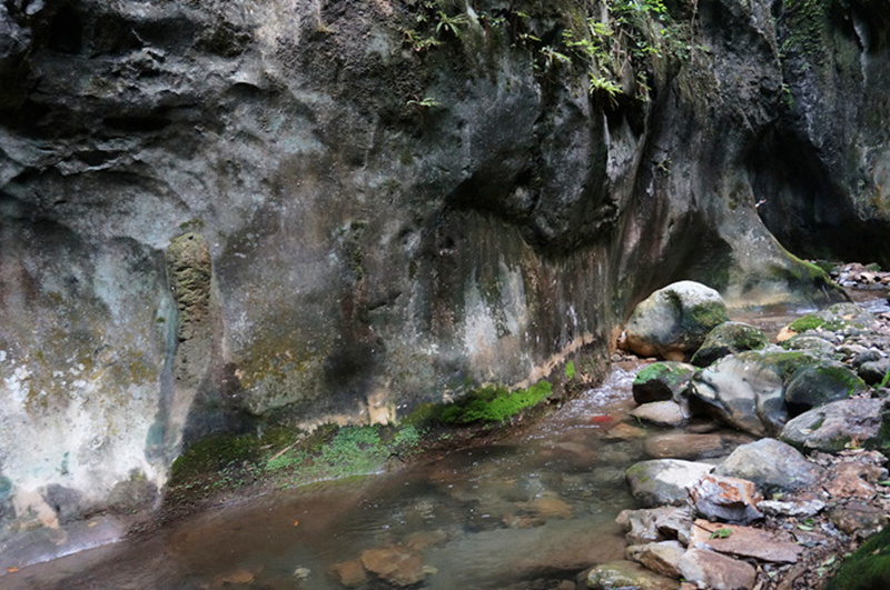 dsc01968_.jpg