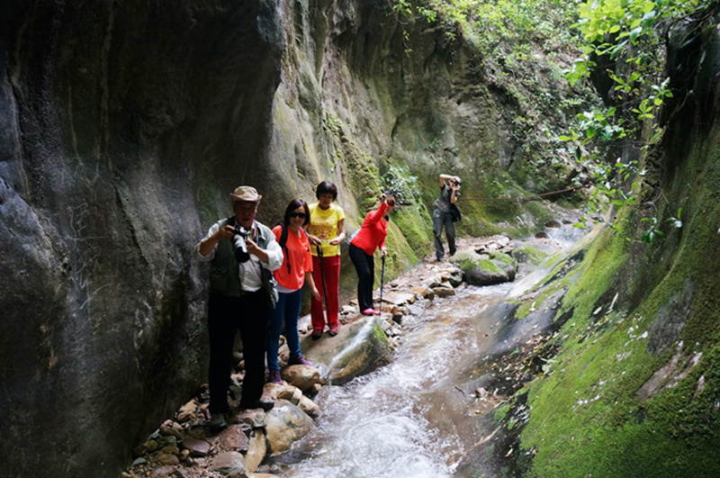 dsc01980_.jpg