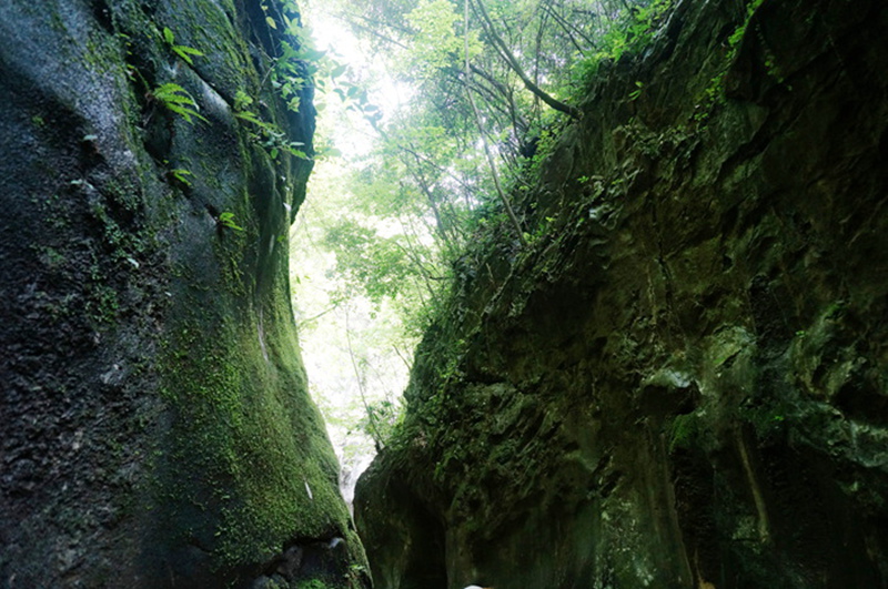 dsc01988_.jpg