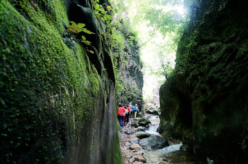 dsc01991_.jpg