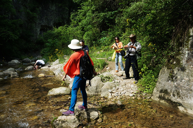 dsc01961_.jpg