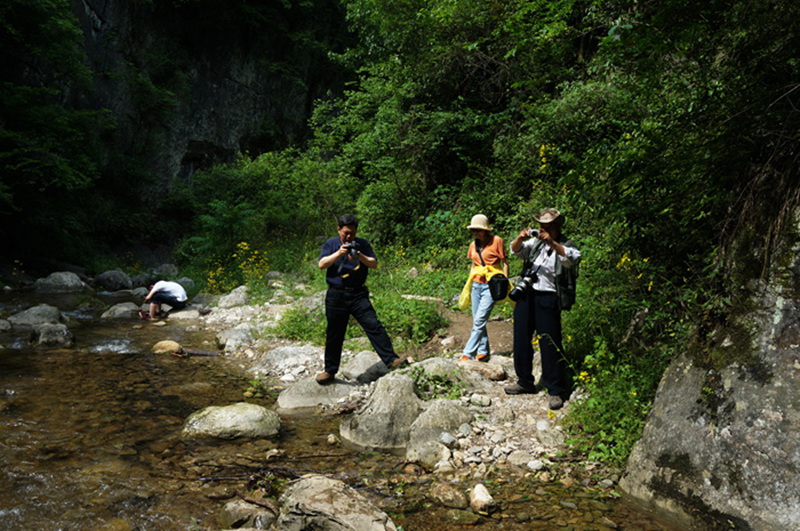 dsc01962_.jpg