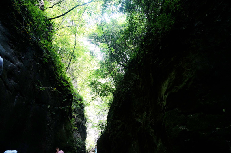 dsc01987_.jpg