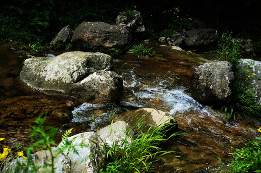 dsc01955_.jpg