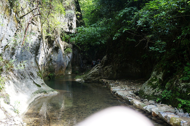dsc01957_.jpg
