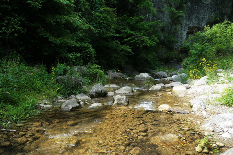 dsc01958_.jpg