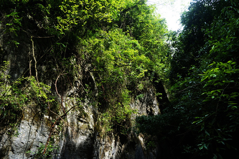 dsc01959_.jpg