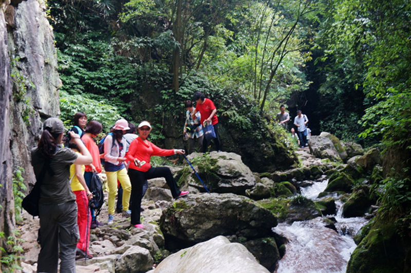 dsc02008_.jpg