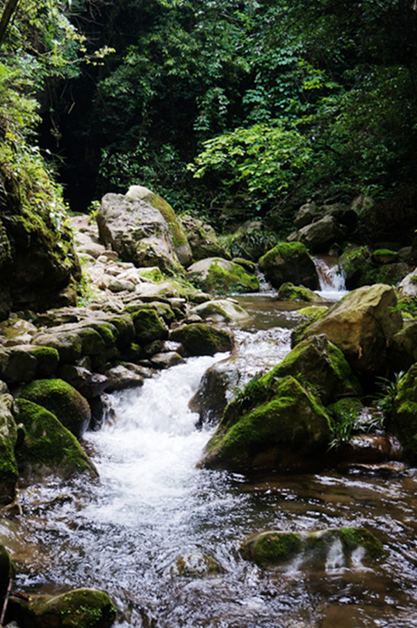 dsc02014_.jpg