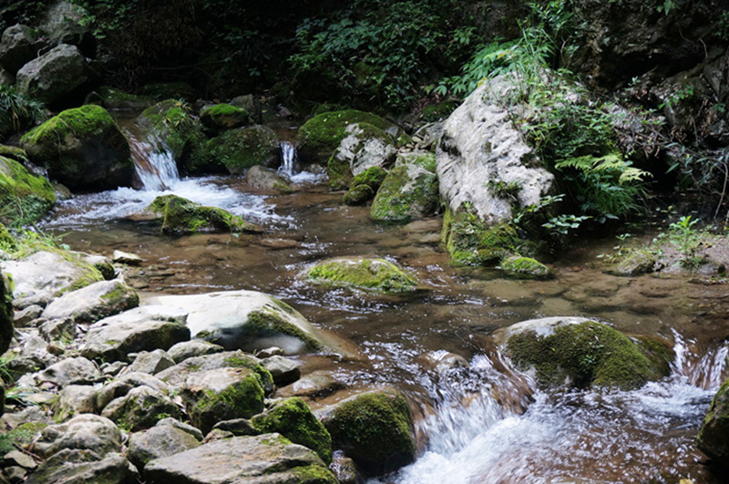 dsc02023_.jpg
