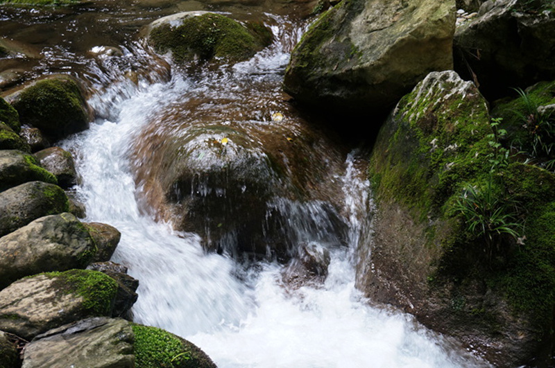 dsc02024_.jpg