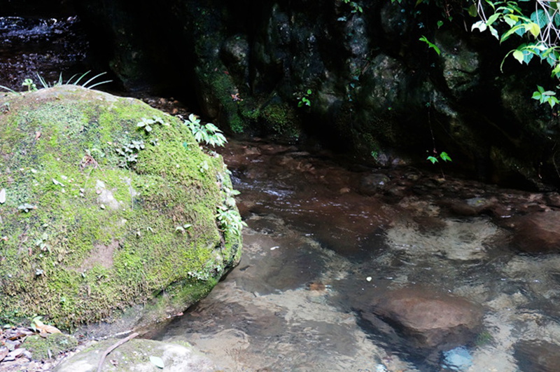 dsc02031_.jpg