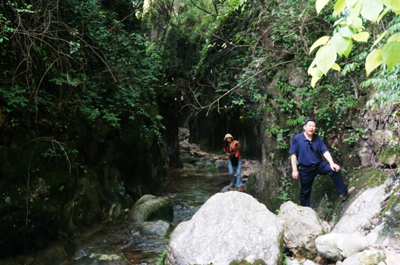 dsc02002_.jpg