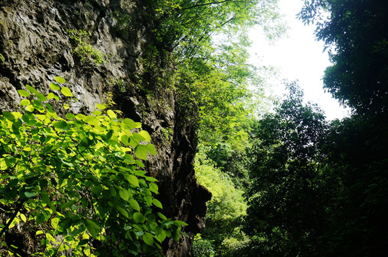dsc01998_.jpg