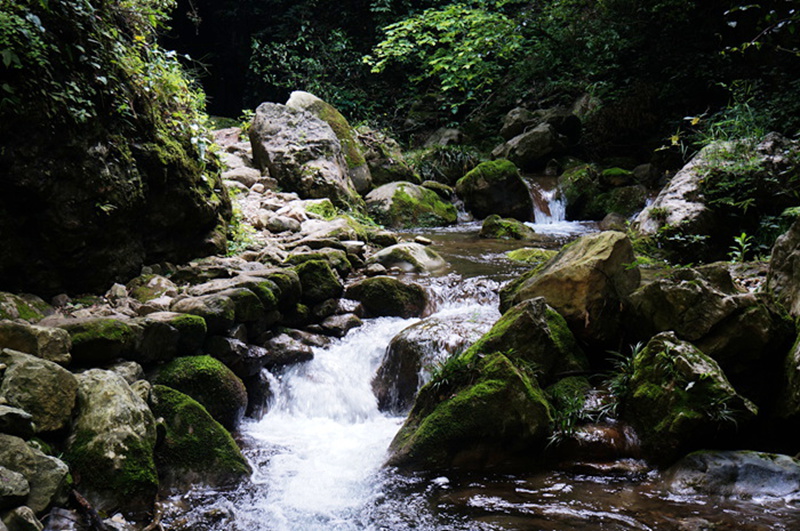 dsc02015_.jpg