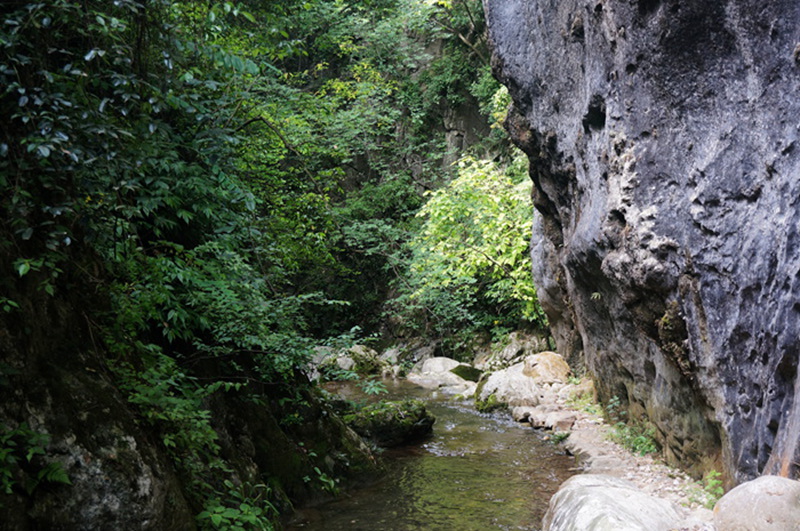 dsc02025_.jpg