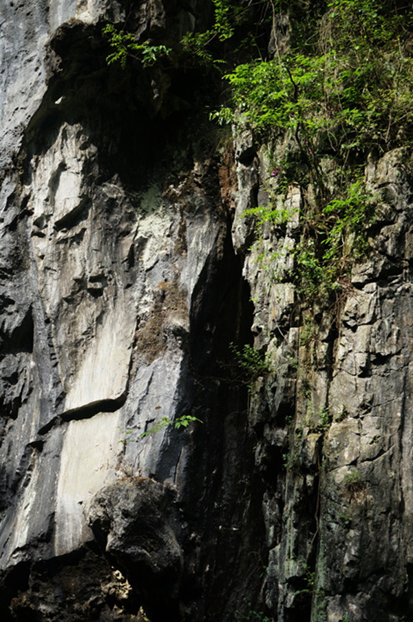 dsc02027_.jpg