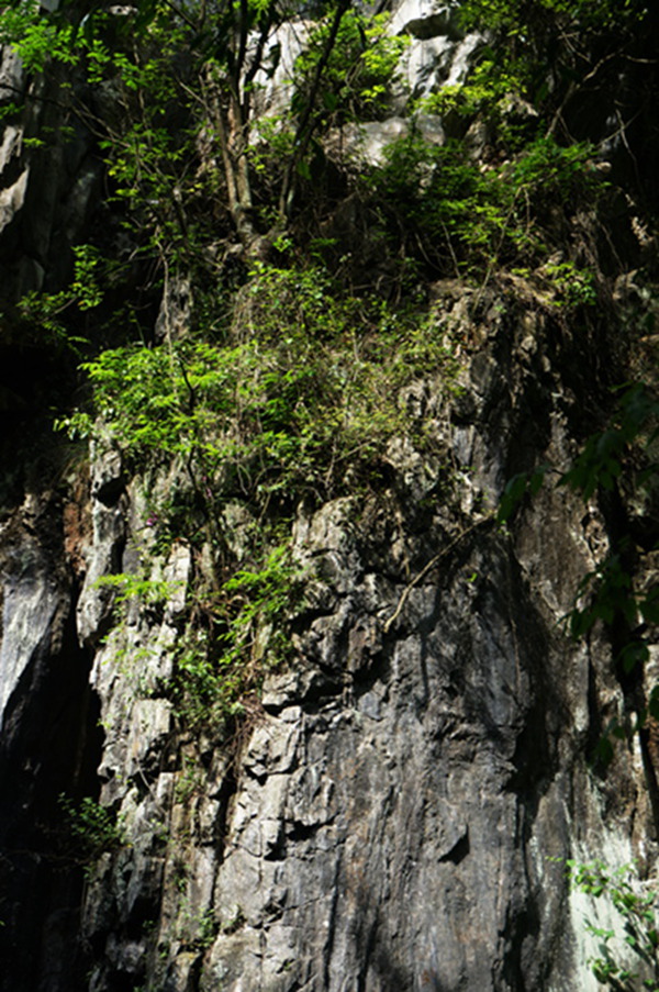 dsc02028_.jpg