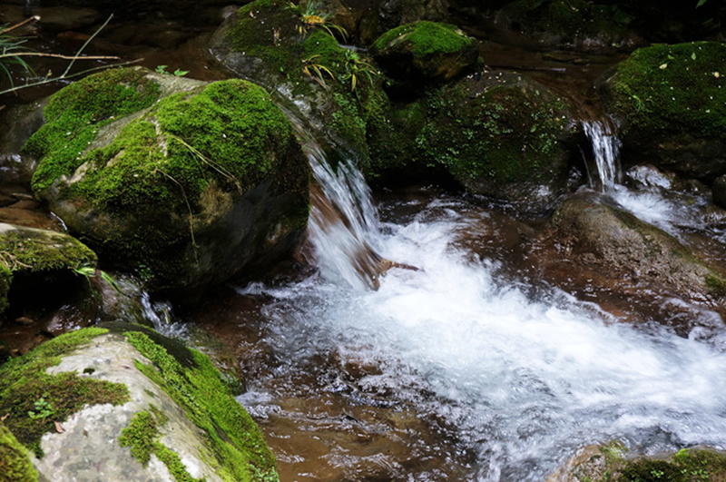 dsc02030_.jpg