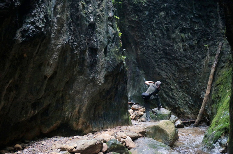 dsc02036_.jpg