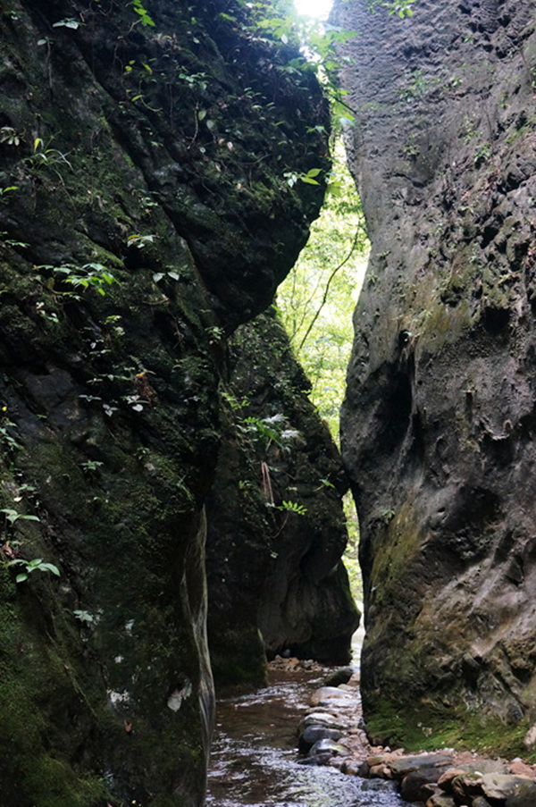 dsc02040_.jpg