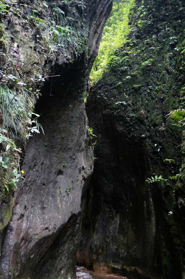 dsc02034_.jpg