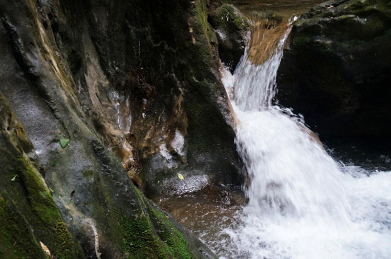dsc02043_.jpg