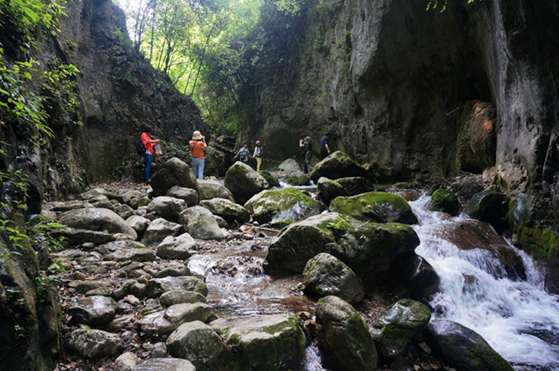 dsc02053_.jpg