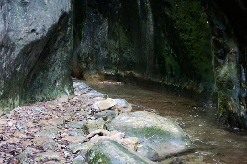dsc02035_.jpg