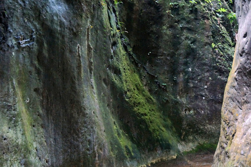 dsc02038_.jpg