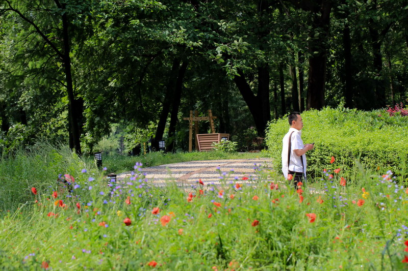 img_4514_СС.jpg