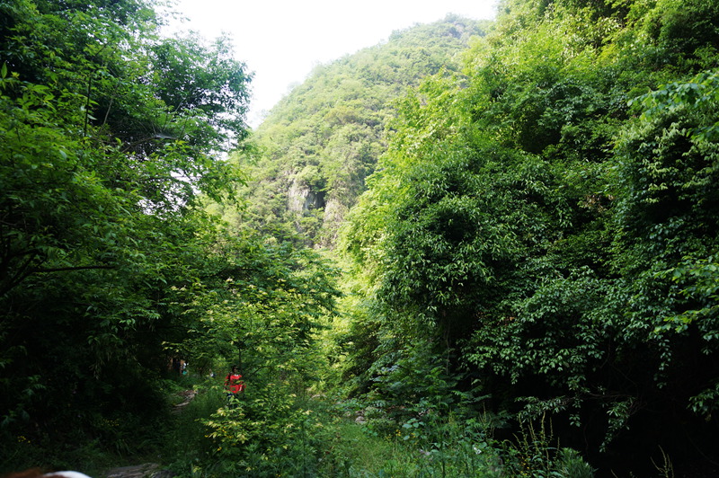 dsc02075_.jpg