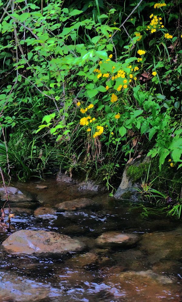 dsc02076_.jpg