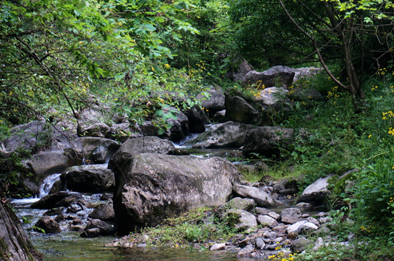 dsc02078_.jpg