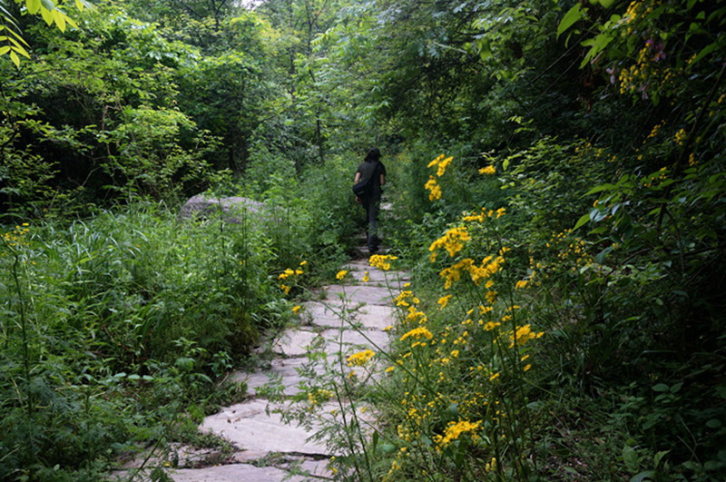 dsc02082_.jpg