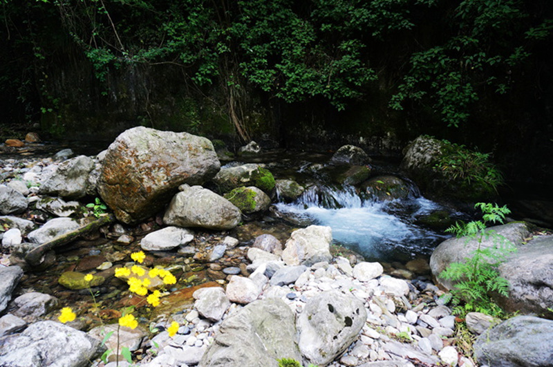 dsc02083_.jpg