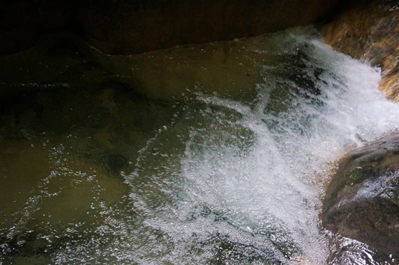 dsc02099_.jpg
