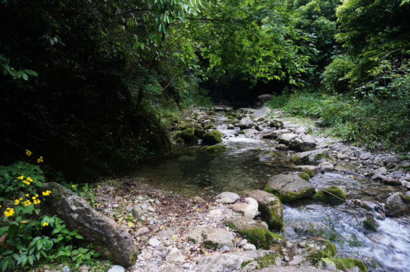 dsc02089_.jpg