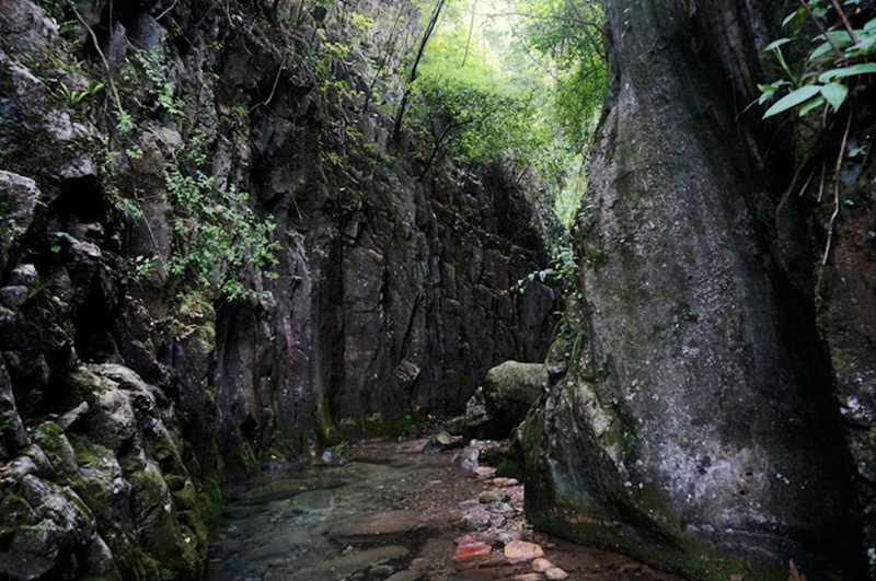 dsc02094_.jpg